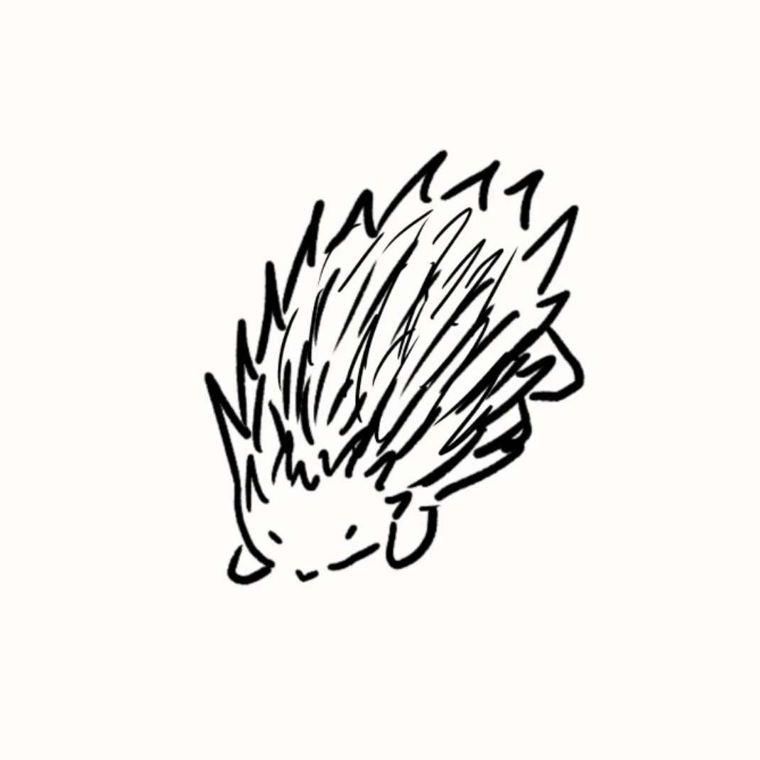 도치