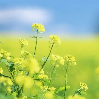 Profile image of 김준엽 경장