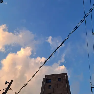 Profile image of 잠뜰 경위