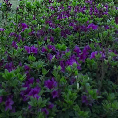 Profile image of 신승아 경장