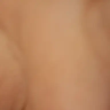 Profile image of 덕개 경장