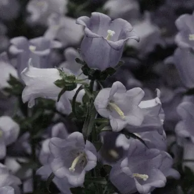 Profile image of 高橋恭平