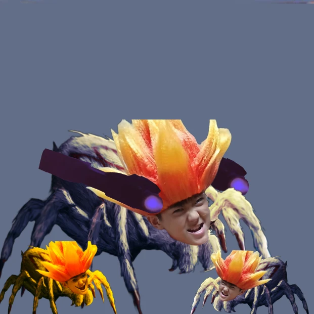 영파이더