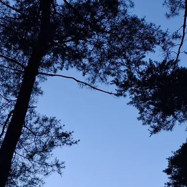 Profile image of 고고프렌즈