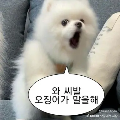 Profile image of 황여우