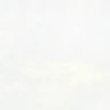 Profile image of 光助