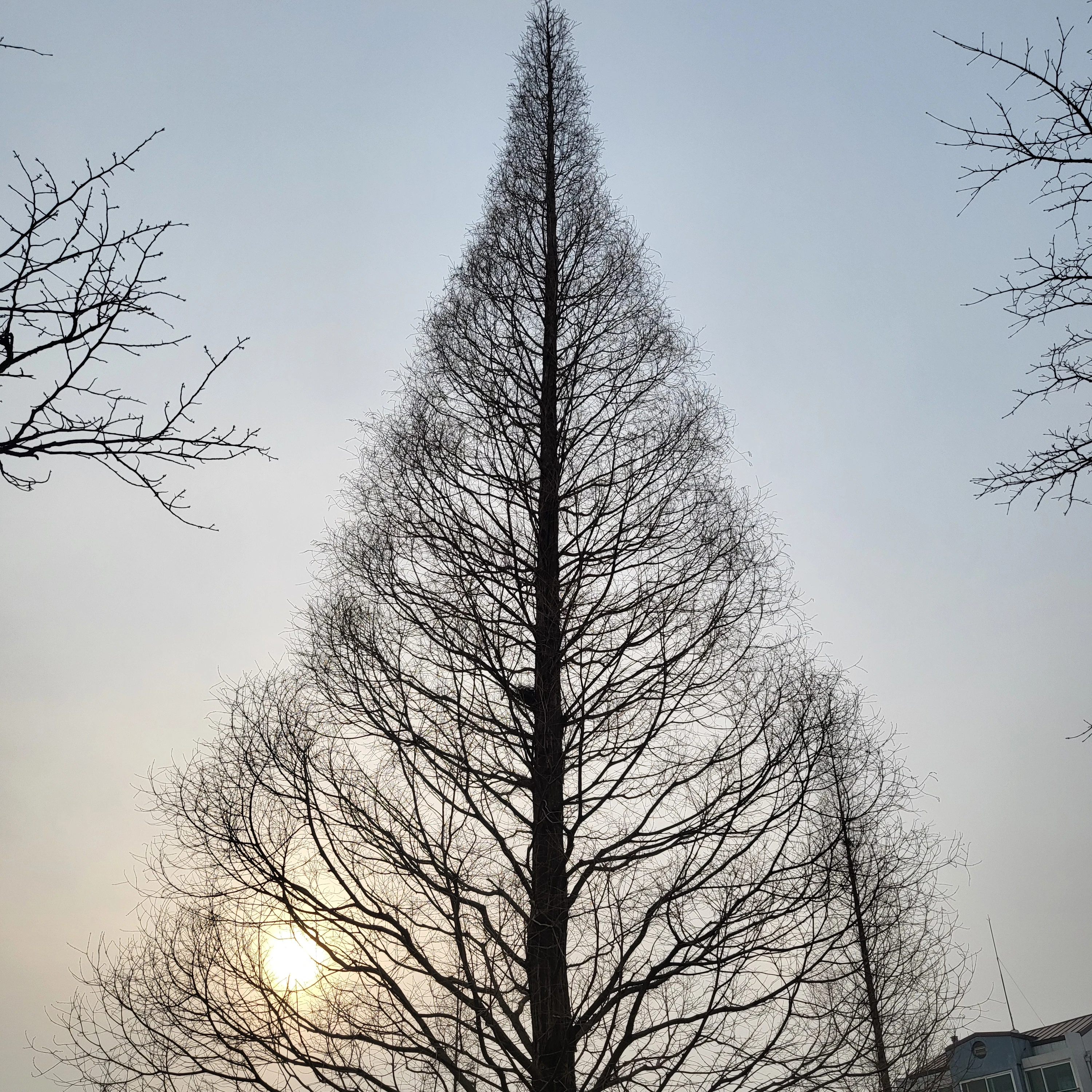 최_연_준