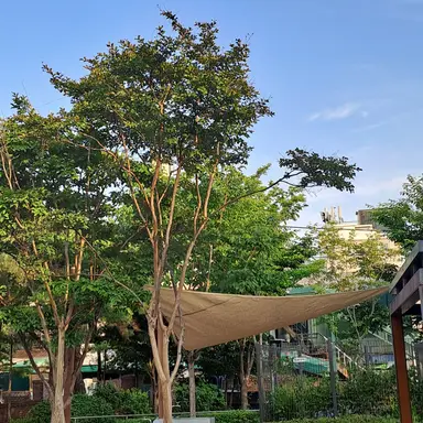 Profile image of 조예지