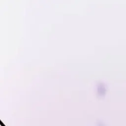 Lookism_JGJG의 徐晟恩