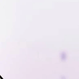 徐晟恩