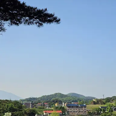 Profile image of 썩은물