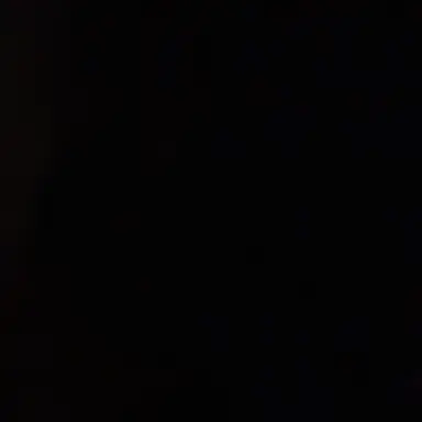 Profile image of 린 리웨이