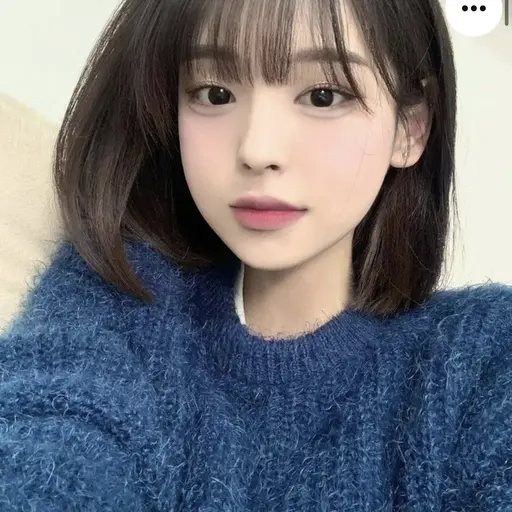 Pixa의 다혜