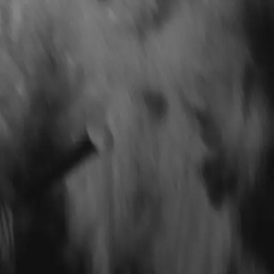 DaftGuest1140의 飼われ(...)