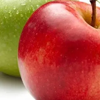 Profile image of 마플