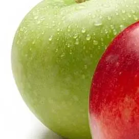 Profile image of 청마플