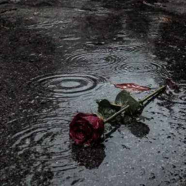 Profile image of 한지성