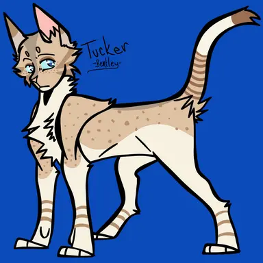 Profile image of Tucker