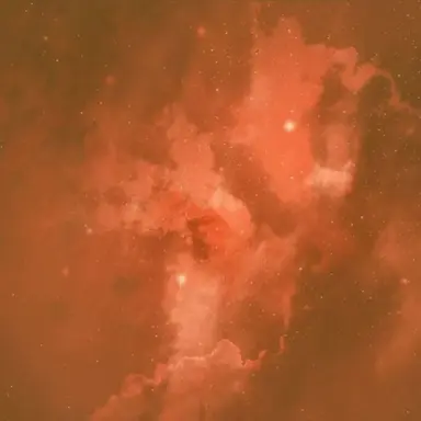 Profile image of 라더