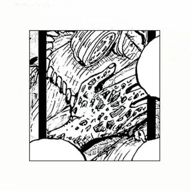 Profile image of 지니