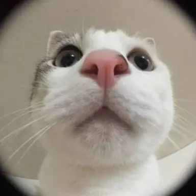 Profile image of 평학