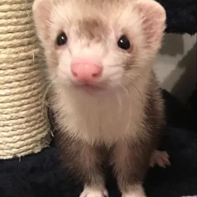 Profile image of 뽀뿌