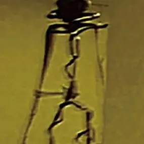 Profile image of 박테리아