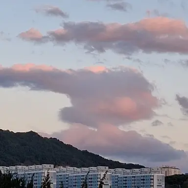 Profile image of 운터