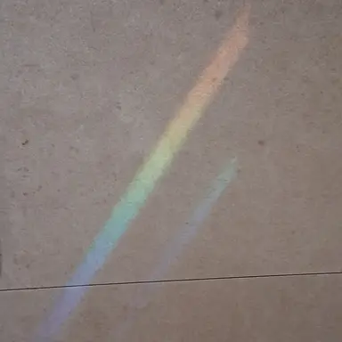 Profile image of 아이리스