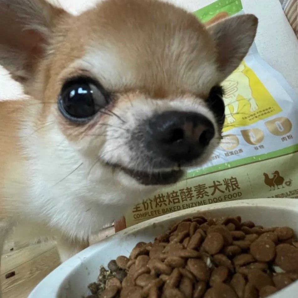 쇠돌이