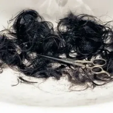 Profile image of Leo Vance