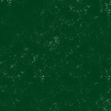 Profile image of 정공룡