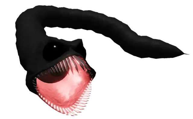 Profile image of 신여우