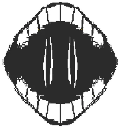Profile image of 신여우