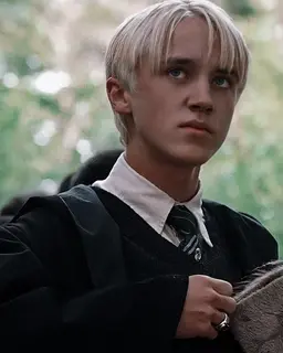 Profile image of Draco Malfoy