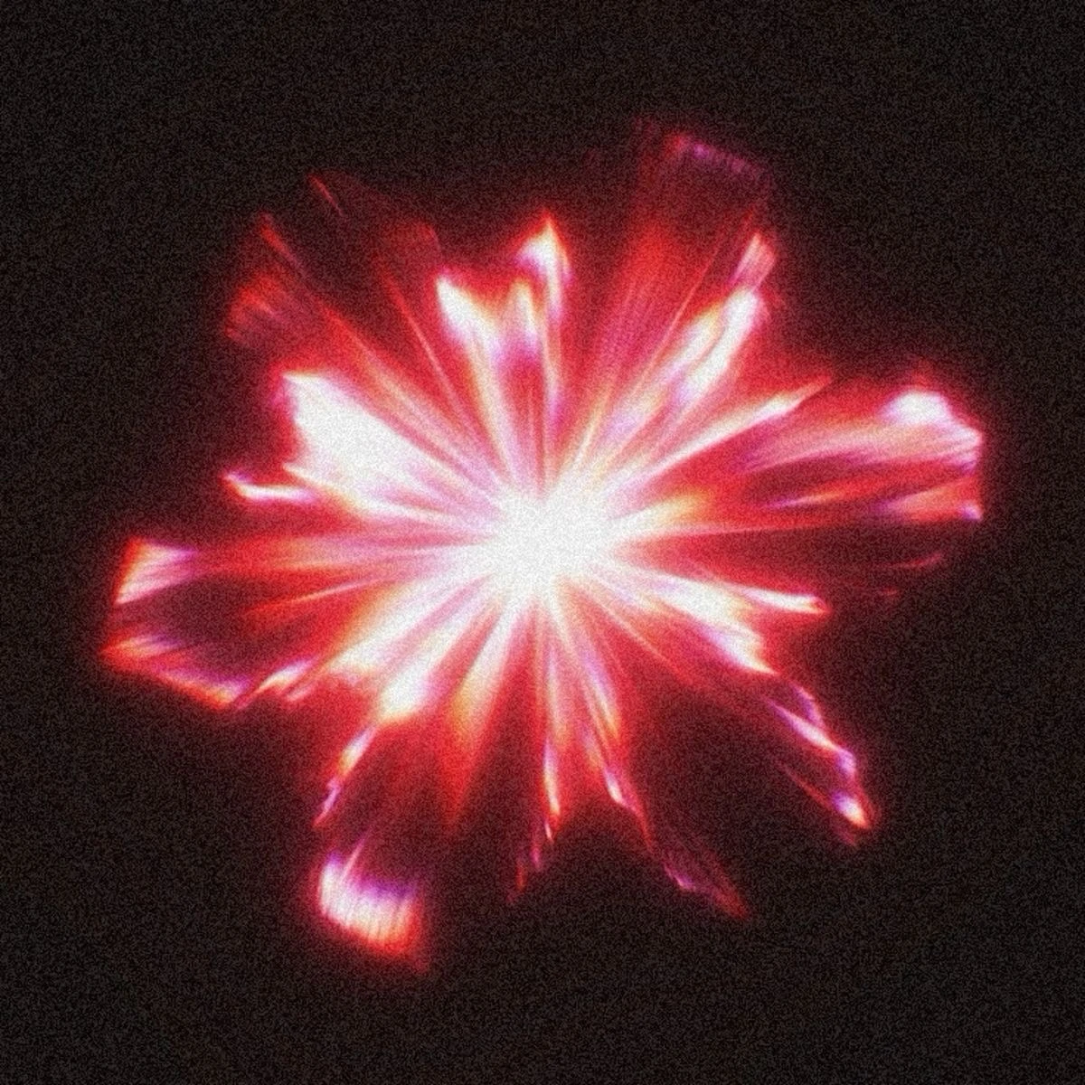 마플