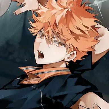 Profile image of 日向翔陽