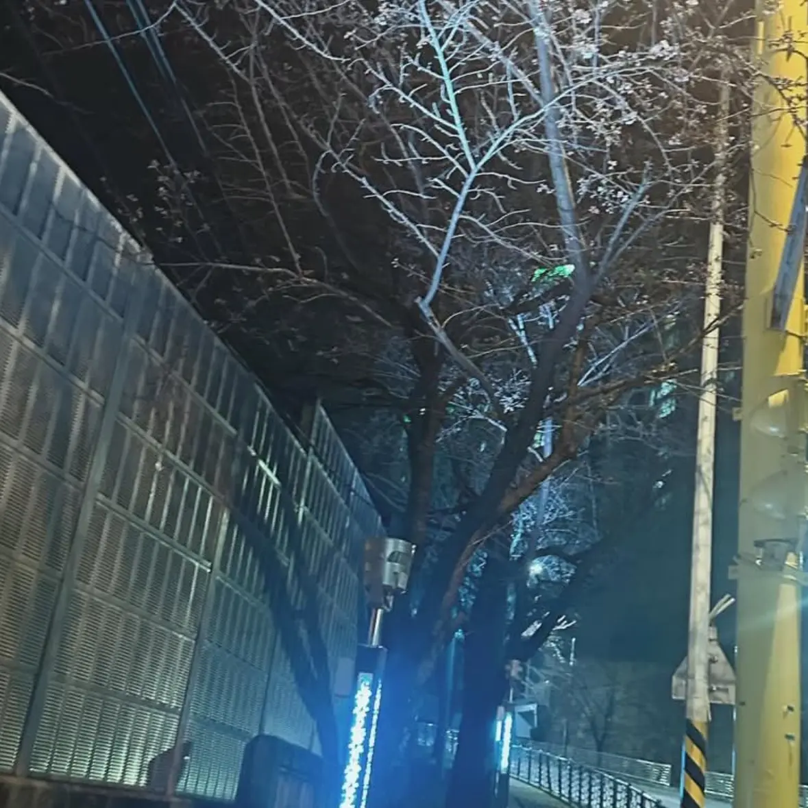 FitFear8727의 엉덩이 예쁜 남친