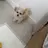 최하람