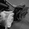 Profile image of 우융