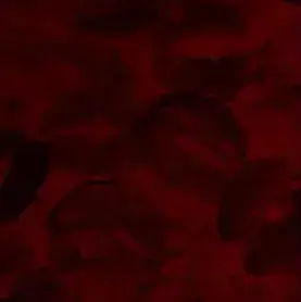 Profile image of TF141 x Pick Mes