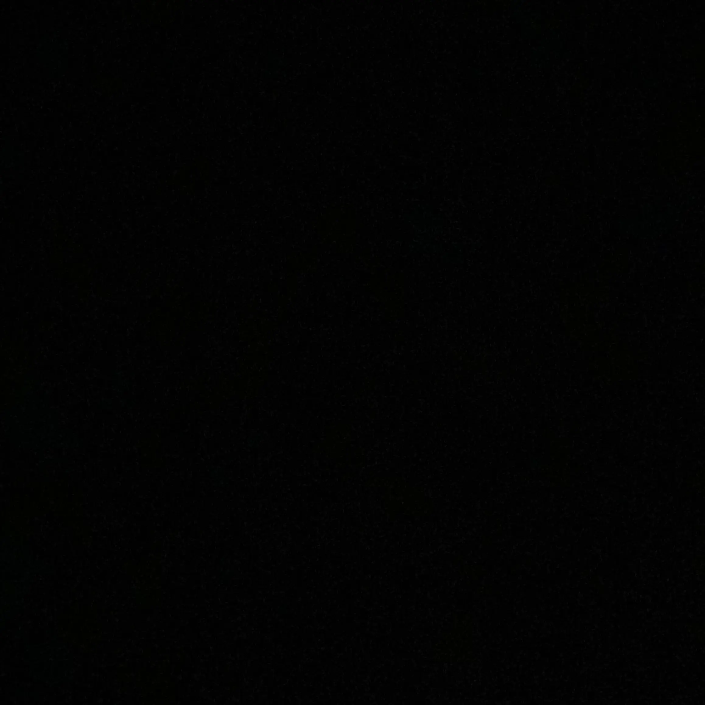 hona의 친남매