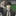 최이겸