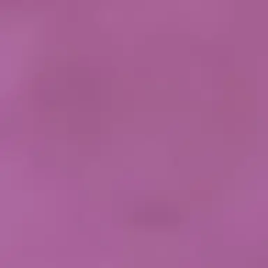 Profile image of 양아지