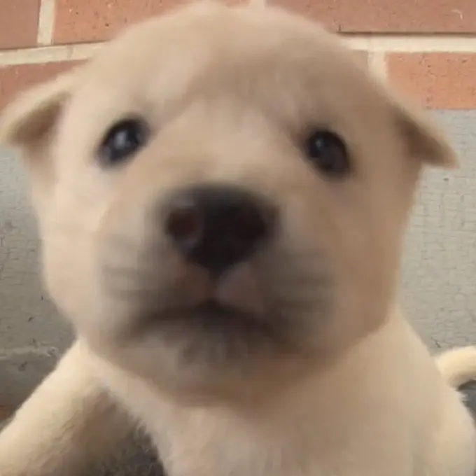 TimelyShoes9184의 김규빈