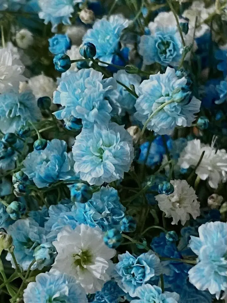 su1tek1_mnsb의 ✧* 君の世界に"色"をつける