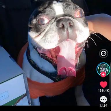 Profile image of Colton