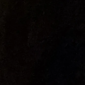 최승첡