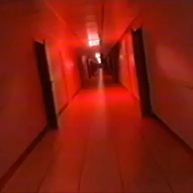 Profile image of Level.Run