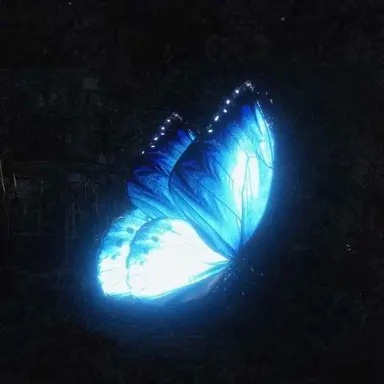 Profile image of 슈네탈린